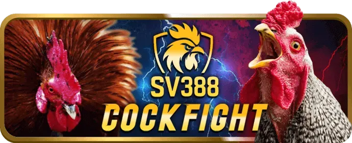 Ví điện tử tại u888vip nhà cái